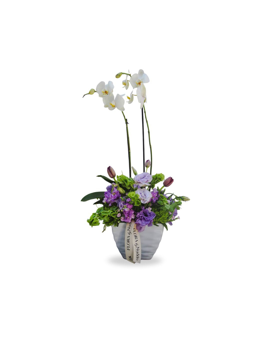 Orquídea
