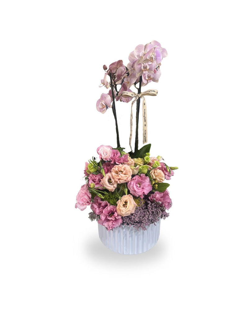 Orquídea