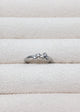Anillo Puntos