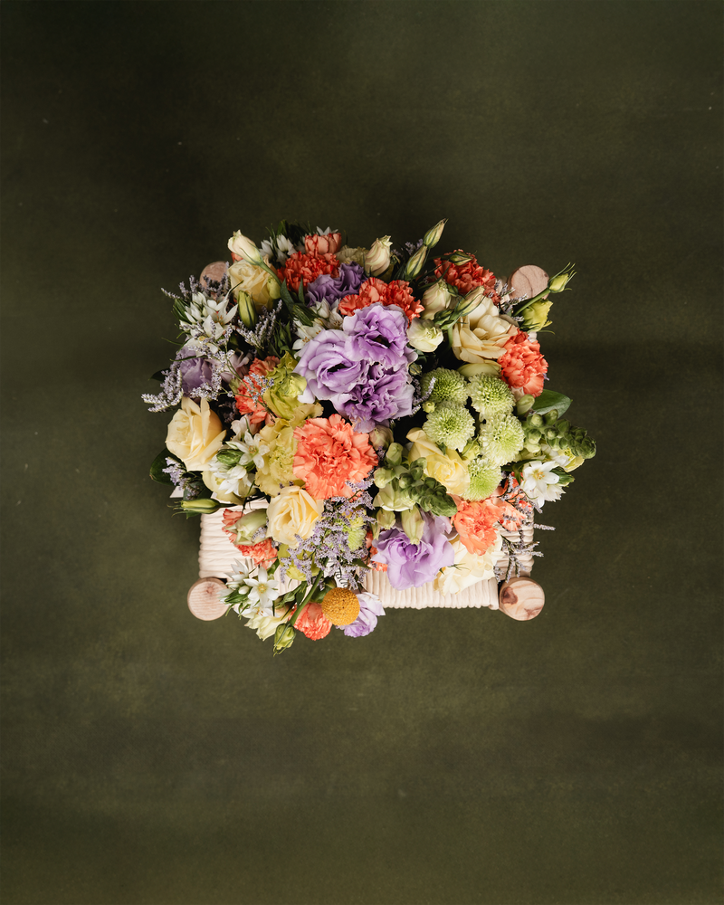 Tiempo de Flora para Oficina